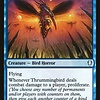 Thrummingbird