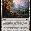 Evolving Wilds