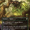 Ant Queen