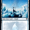 Snow-Covered Island (278)