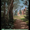 Forest (110) - Full Art