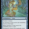 Traveler's Cloak