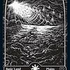 Plains (269) - Full Art