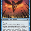 Thrummingbird