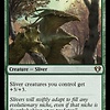 Megantic Sliver
