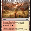 Raucous Carnival - Foil