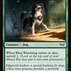 Wary Watchdog - Foil