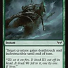 Horrid Vigor - Foil