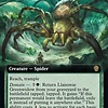 Llanowar Greenwidow - Foil