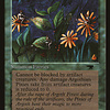 Argothian Pixies