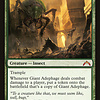 Giant Adephage