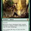 Giant Adephage