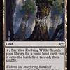 Evolving Wilds