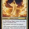 Meddling Mage