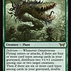 Omnivorous Flytrap