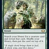 Worldly Tutor