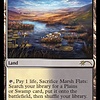 Marsh Flats