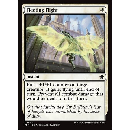 Fleeting Flight - Foil