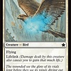 Healer's Hawk - Foil