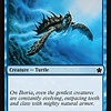 Aegis Turtle - Foil