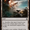 Evolving Wilds - Foil