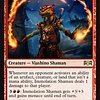 Immolation Shaman
