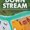 Downstream