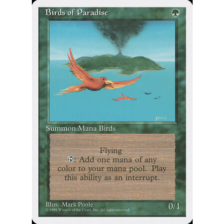 Birds of Paradise