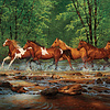 1000 - Spring Creek Run