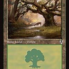 Forest (297) - Foil