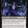 Ecstatic Awakener - Foil