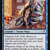 Ninja of the Deep Hours