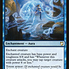 Octopus Umbra