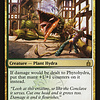 Phytohydra