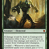 Undergrowth Champion