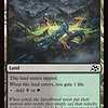 Jungle Hollow - Foil