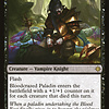 Bloodcrazed Paladin