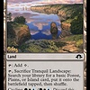 Tranquil Landscape