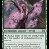 Sanctum Weaver