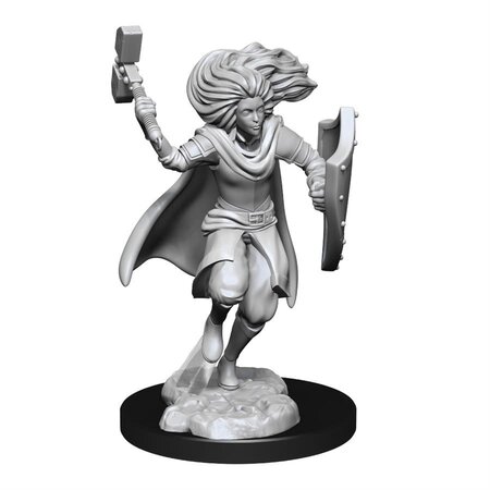 D&D Unpainted Minis - Changeling Cleric (Male)