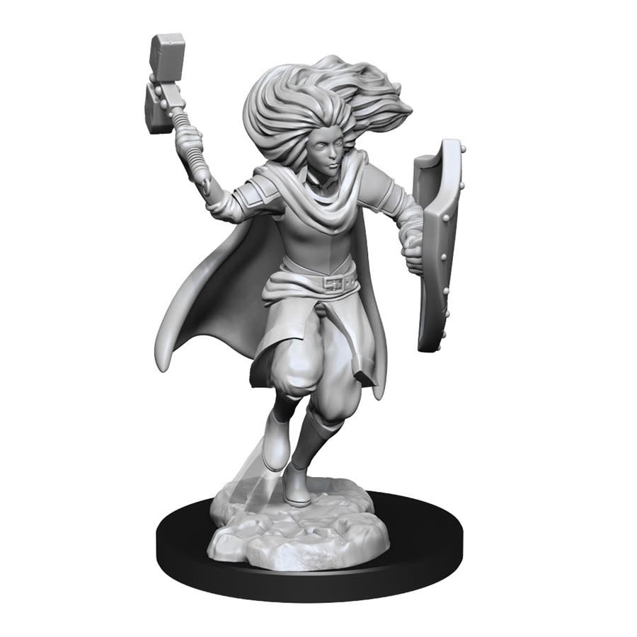 D&D Unpainted Minis - Changeling Cleric (Male)