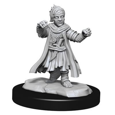 Pathfinder Battles Unpainted Minis - Halfling Monk (Male)