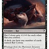 Rat Colony