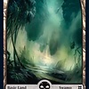 Swamp (272) - Full Art