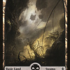 Swamp (261) - Full Art