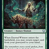 Eternal Witness