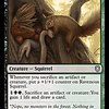 Ravenous Squirrel