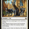 Regal Caracal