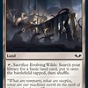Evolving Wilds - Surge Foil