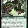Blight Mamba